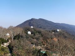 -紫金山天文台