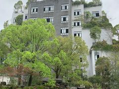 -龙天小镇