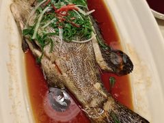 -湖锦酒楼·旗舰店(三阳总店)