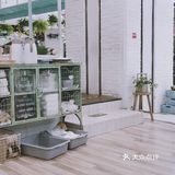 味道完全不输给那些一般的港茶店