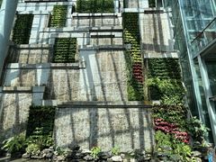 -禹州森林植物园