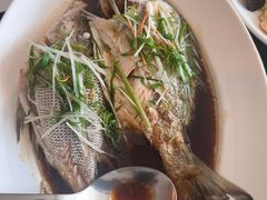 -三亚亚龙湾瑞吉酒店·铭轩中餐厅Mingxuan·海南菜·粤菜