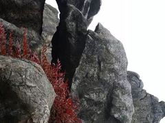 -千岛湖石林