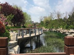 -丁家河公园