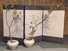 -boundaries籬苑(瑞光创意工厂-贰号院店)