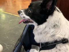 -蝶园·装修中(BFC外滩金融中心店)