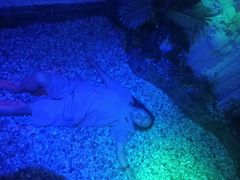 -水晶之星洗浴温泉汗蒸