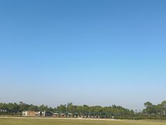 -春花秋色城市公园