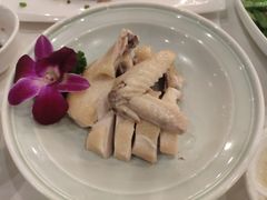 白切文昌鸡-白云中餐厅·粤菜·亚龙湾喜来登度假酒店