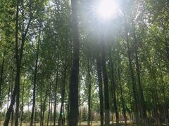 -东郊湿地公园