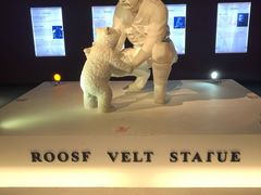 -成都泰迪熊博物馆