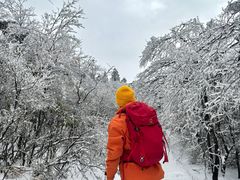 -大围山国家森林公园