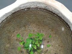 android_upload_pic-黔蘑菇四季餐厅(观山湖店)