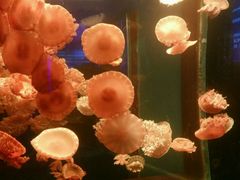 -多彩贵州城极地海洋世界