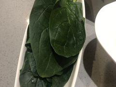 -海底捞火锅(欣大百货店)