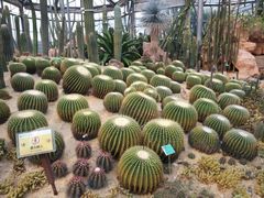 -华南国家植物园-售票处