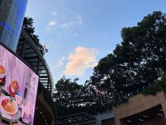 -金虹桥商场