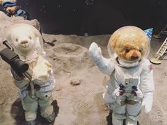 -济州岛泰迪熊博物馆