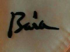 -BAIA 巴亚