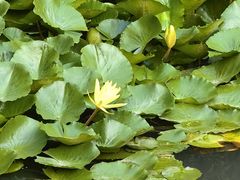 -苏州河梦清园环保主题公园