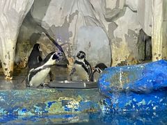 -太平洋海底世界