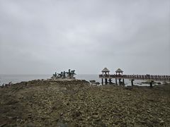 -养马岛旅游度假区