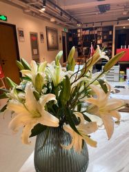 -FineYoga梵音瑜伽·普拉提