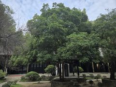 -白鹿洞书院