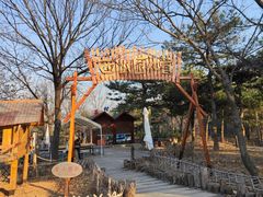 -北京西山国家森林公园