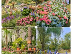 -武汉园博园(武汉自然博物馆)