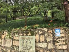 -普陀山风景名胜区-法雨禅寺