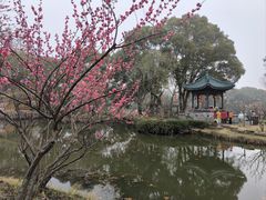 -无锡梅园公园