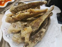 -清真重庆巴爷香辣鸡煲(南小巷店)