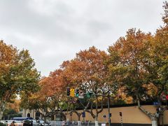 -江苏省美术馆(长江路新馆)