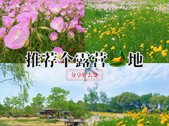 -尚贤河湿地