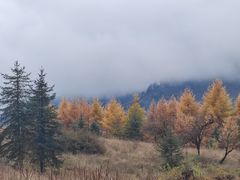 -硗碛藏寨·神木垒景区
