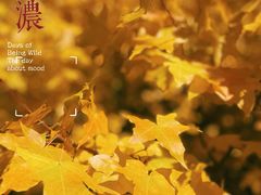 -云峰山自然风景区