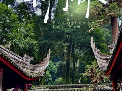 -青城山