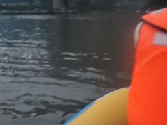 -野三坡清泉山风景区