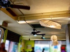 -Green Leaf Sushi l Kitsilano