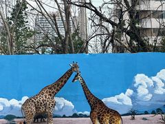 -昆明动物园