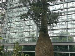 -南山植物园