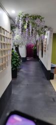 -盘子女人坊古装写真摄影(深圳店)
