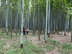 -同里国家湿地公园