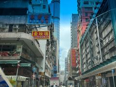 -油麻地果栏