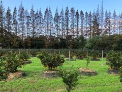 -前小桔亲子创意农场·草莓采摘·露营烧烤