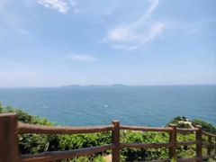 -杨梅坑
