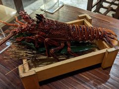 -矶野水产(澳门逸园中心店)