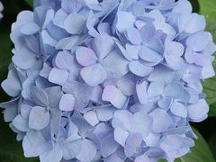 -常州古运河南大街文化旅游区-人民公园