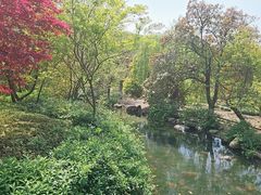 -白马涧龙池景区